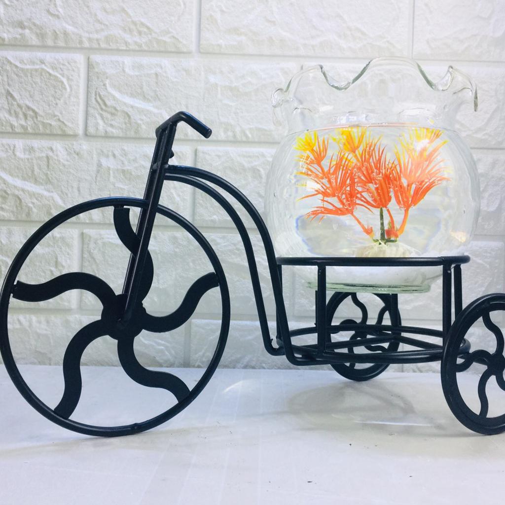 Bể cá mini để bàn xe đạp và chậu bèo