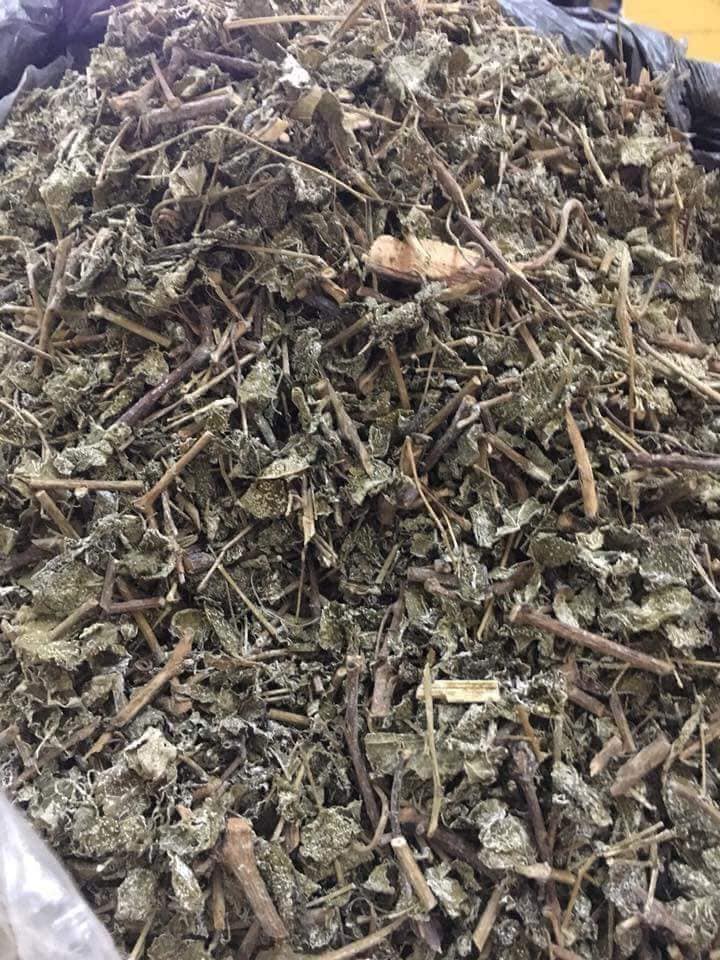Chè dây rừng nguyên chất Mẹ Ken (Bịch 1kg)