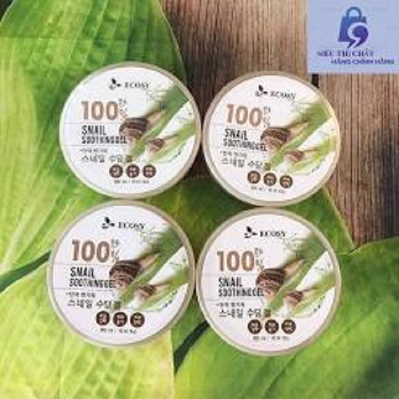 Gel nha đam 100