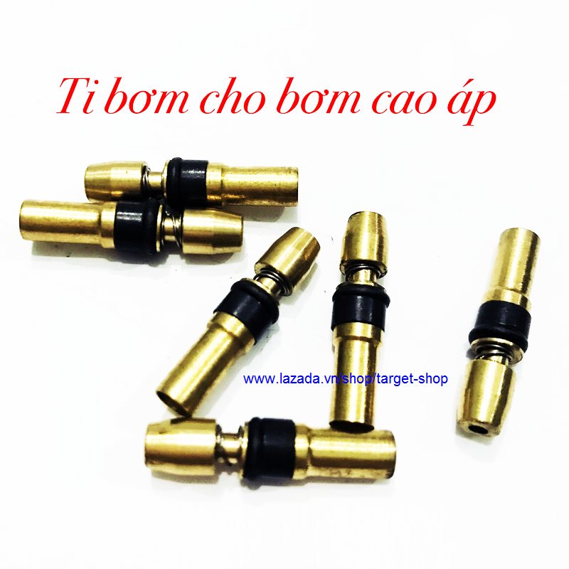 Ti Bơm Cao Áp,Ti Đồng, Ty bơm (1 Cái)