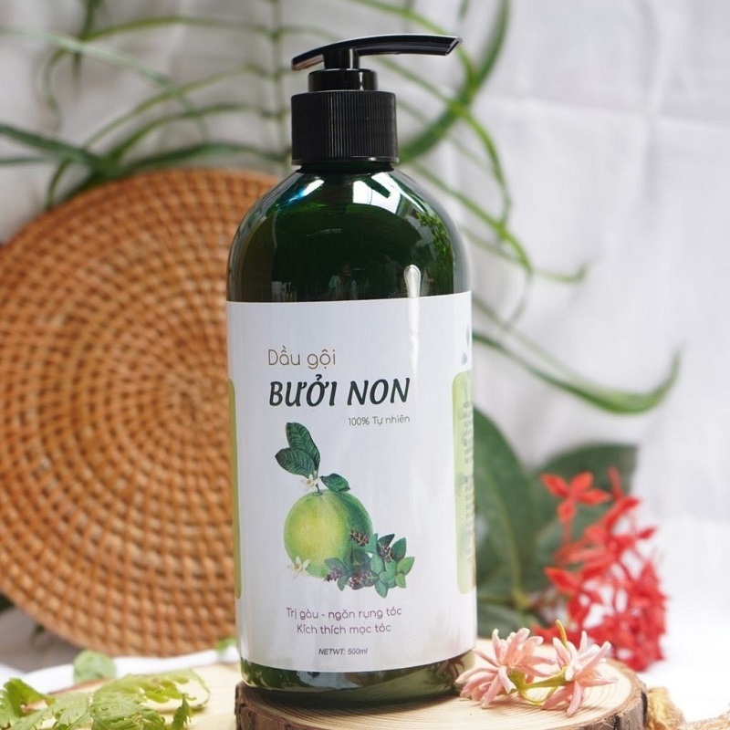Dầu Gội Bưởi Non Handmade giúp Giảm Gàu, Nấm, Ngứa, Rụng Tóc 500ml - 100% Thiên Nhiên giá rẻ