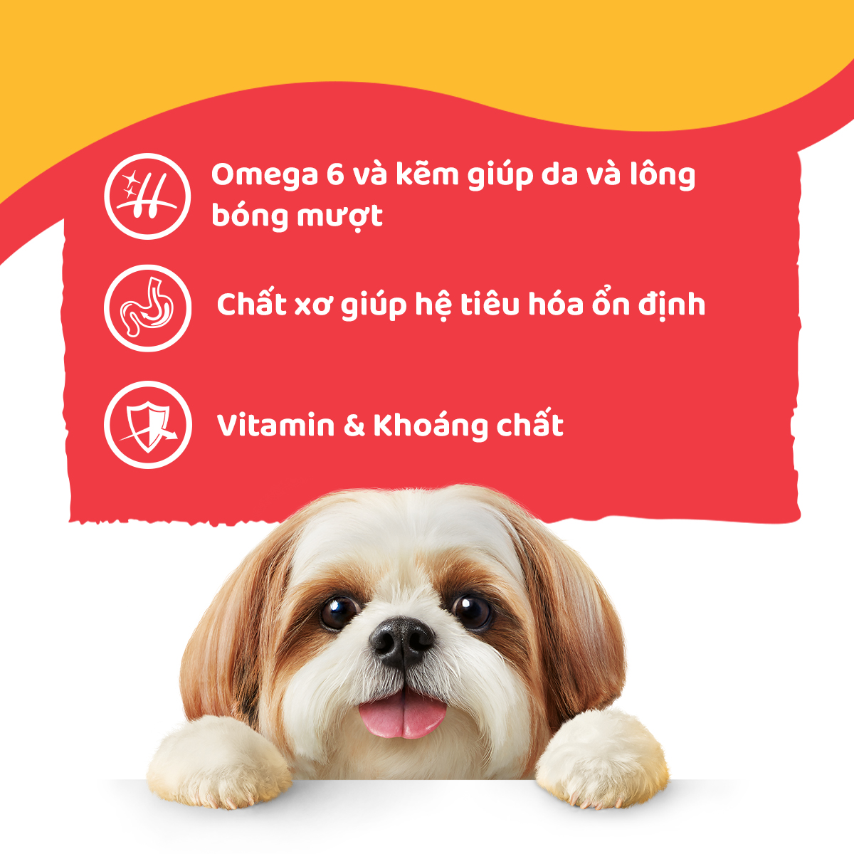 Bộ 12 Túi Thức Ăn Cho Chó Lớn PEDIGREE Dạng Sốt 130g.