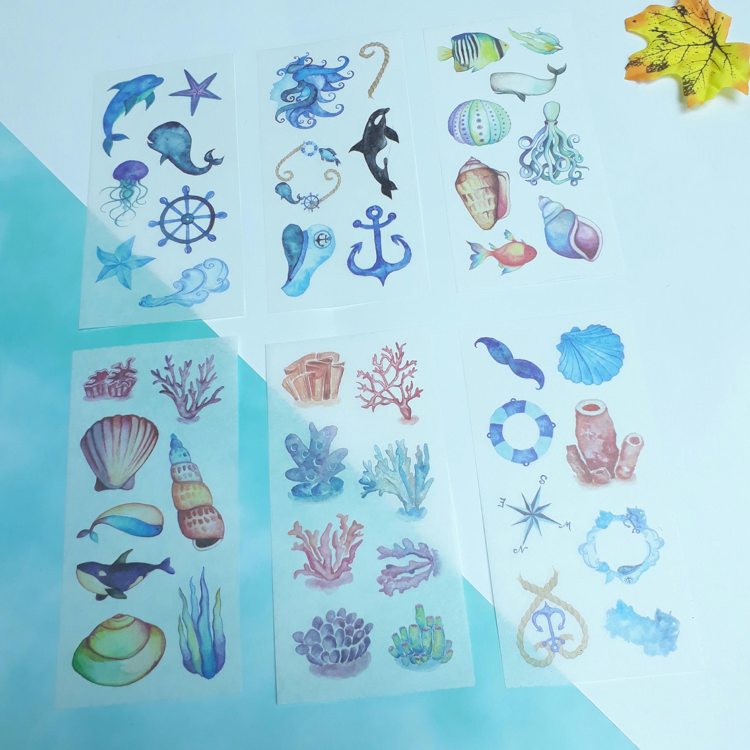[HCM]Bộ 6 Tấm Sticker Sinh Vật Biển