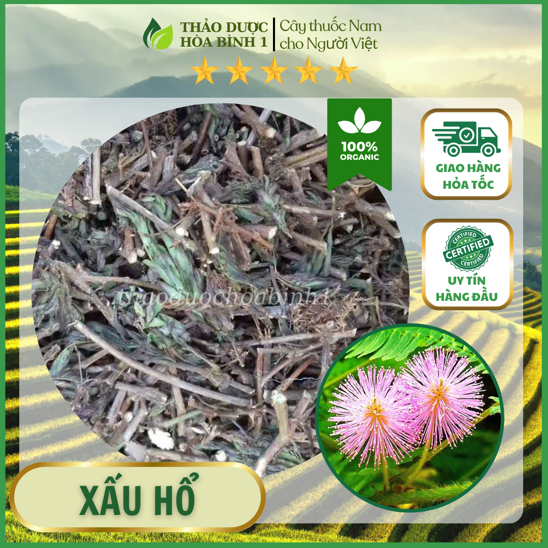 Cây Xấu hổ khô 1kg