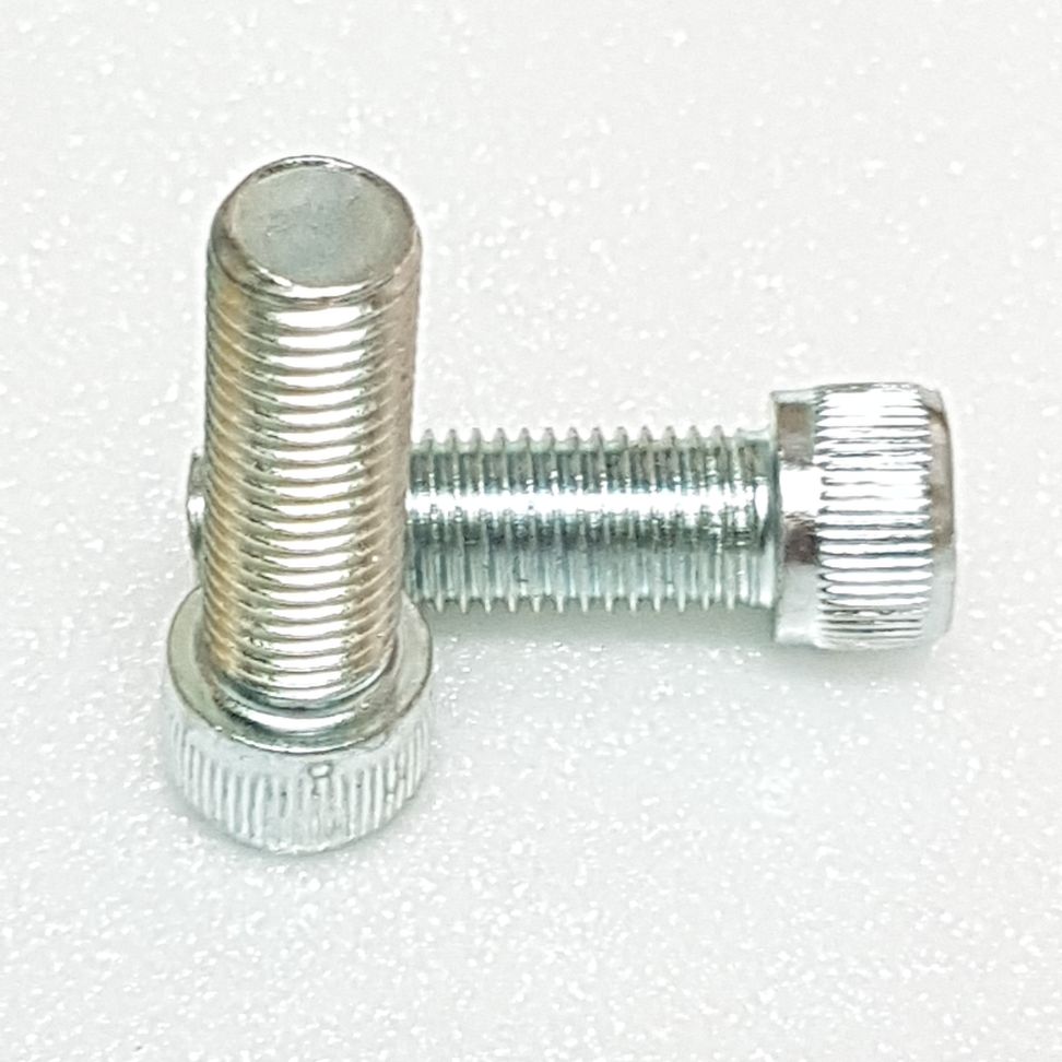 Ốc kiếng răng ngược 10ly 3cm .2 con xi