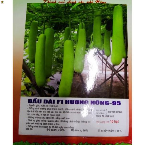 Hạt bầu trái dài F1 - gói 10 hạt