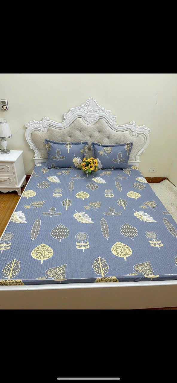 Bộ ga gối cotton Hàn Quốc