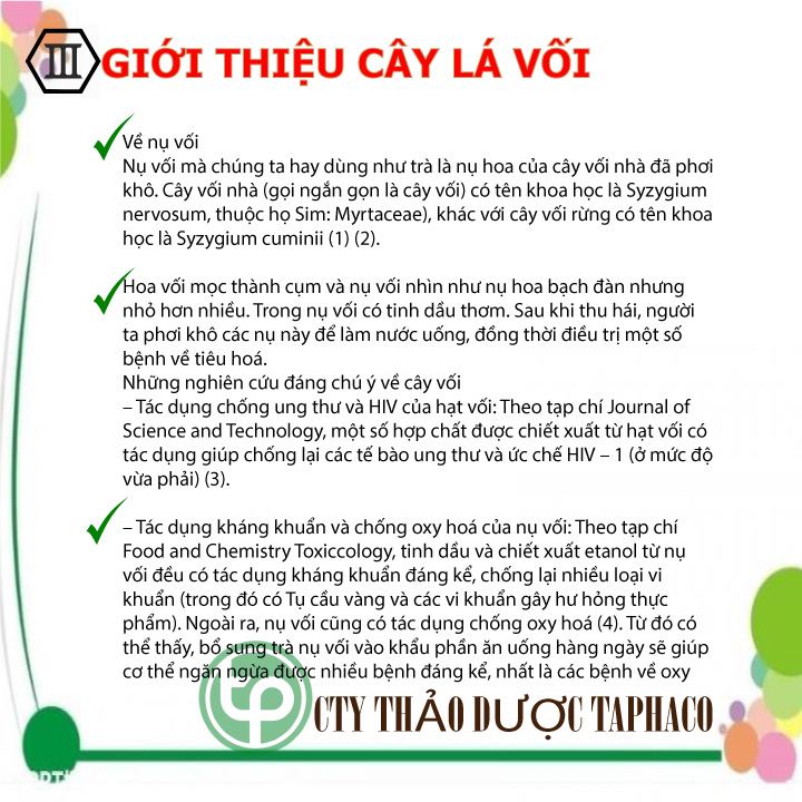 [Hàng Mới Về] Nụ vối khô Tấn Phát 500g - hàng mới về - siêu chất lượng chuyên dùng để pha trà hỗ trợ cải thiện sức khoẻ