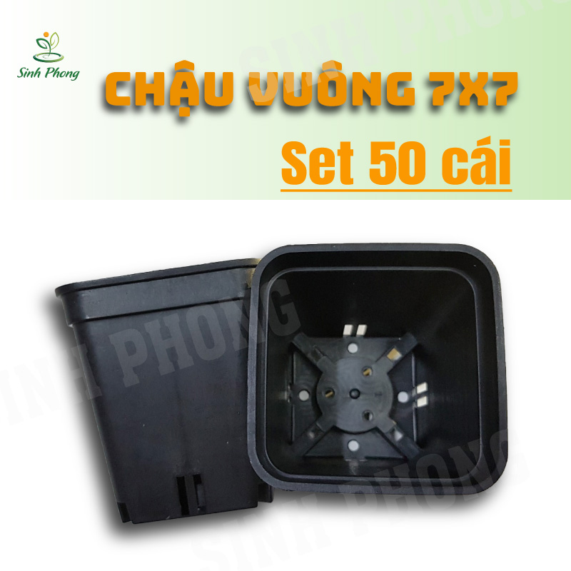 Chậu vuông 7x7 đen (set 50 cái)
