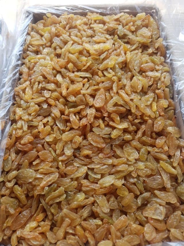 [HCM]Nho kho Ấn Độ 500g