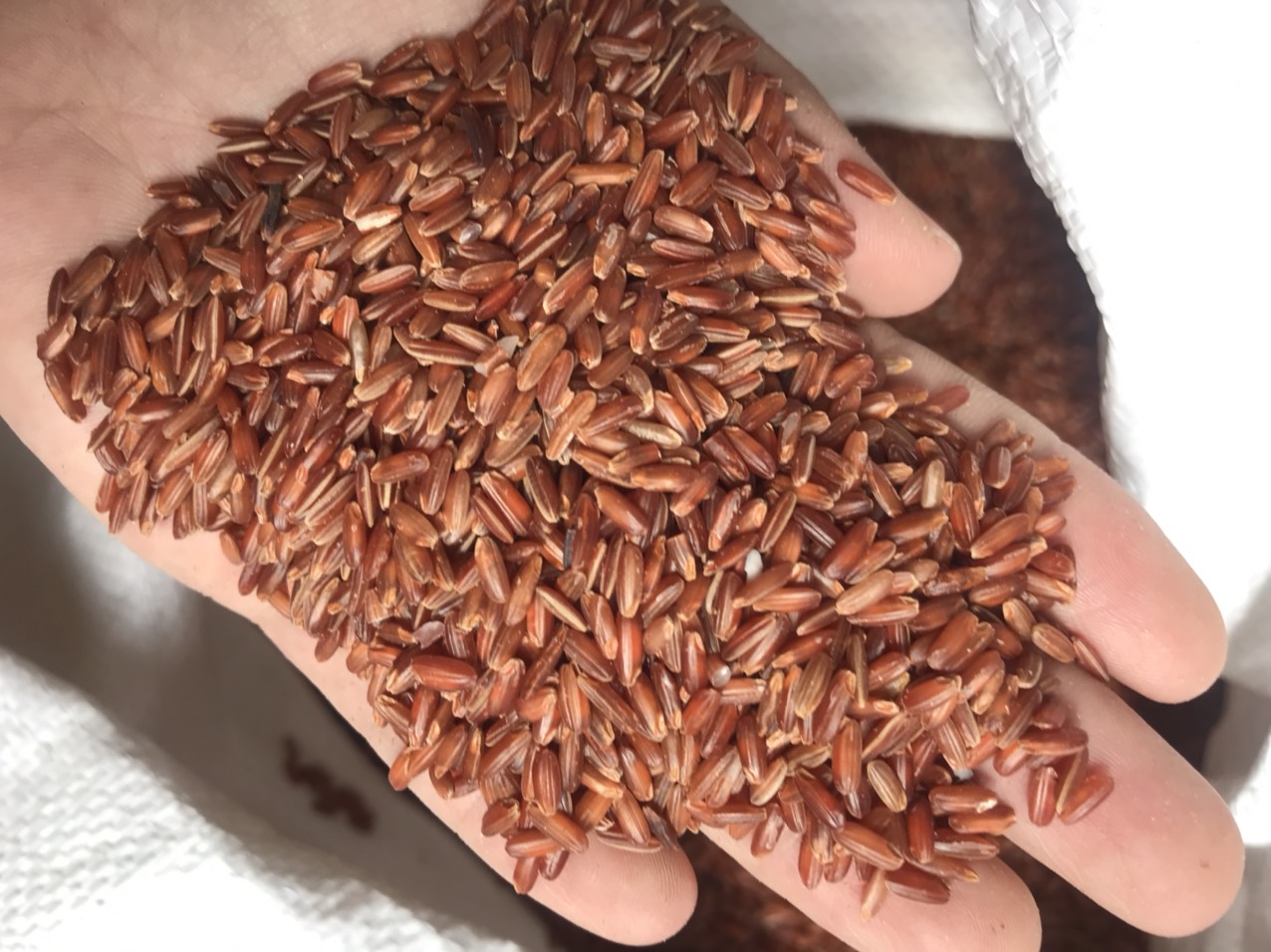 1kg gạo lứt cho gà
