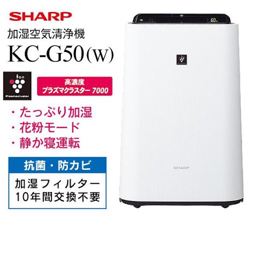 Cục đổi nguồn điện 220v -110v