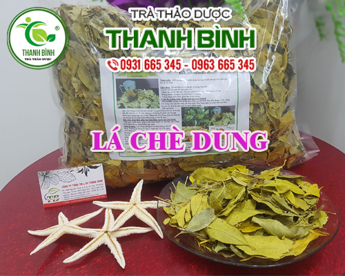 Cây chè dung 100g khô hàng cty chất lượng - dược liệu thanh bình