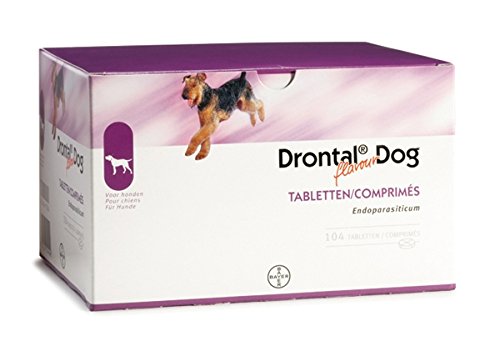 DRONTAL dewormer for dogs