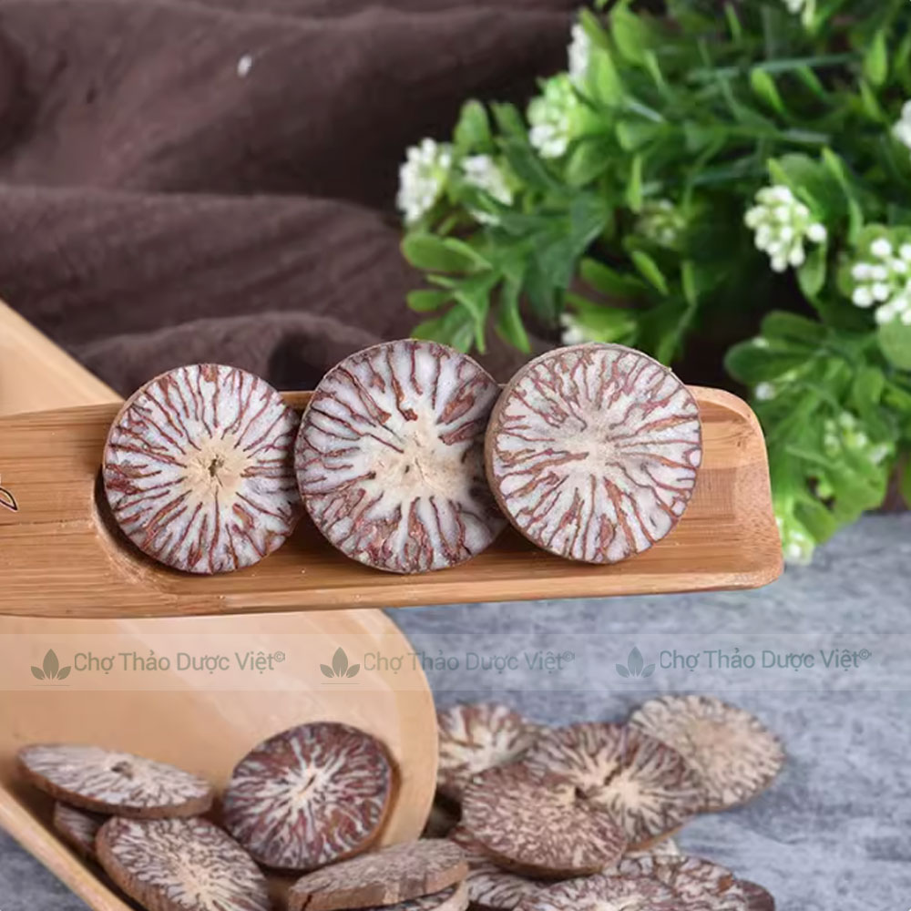 Dried Areca Nuts 100g, Whole, Clean, Beautiful, Reduces Toothache and Tooth Decay - Viet Herbal Market
