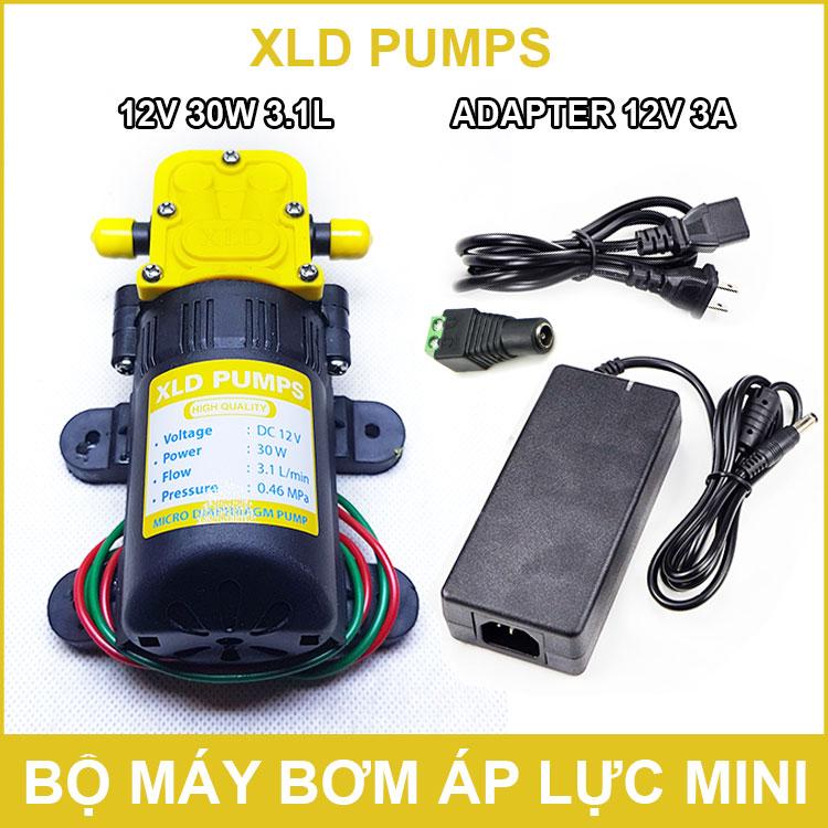 Máy Bơm Nước Mini Áp Lực 12V 30W 3.1L XLD PUMPS kèm nguồn điện