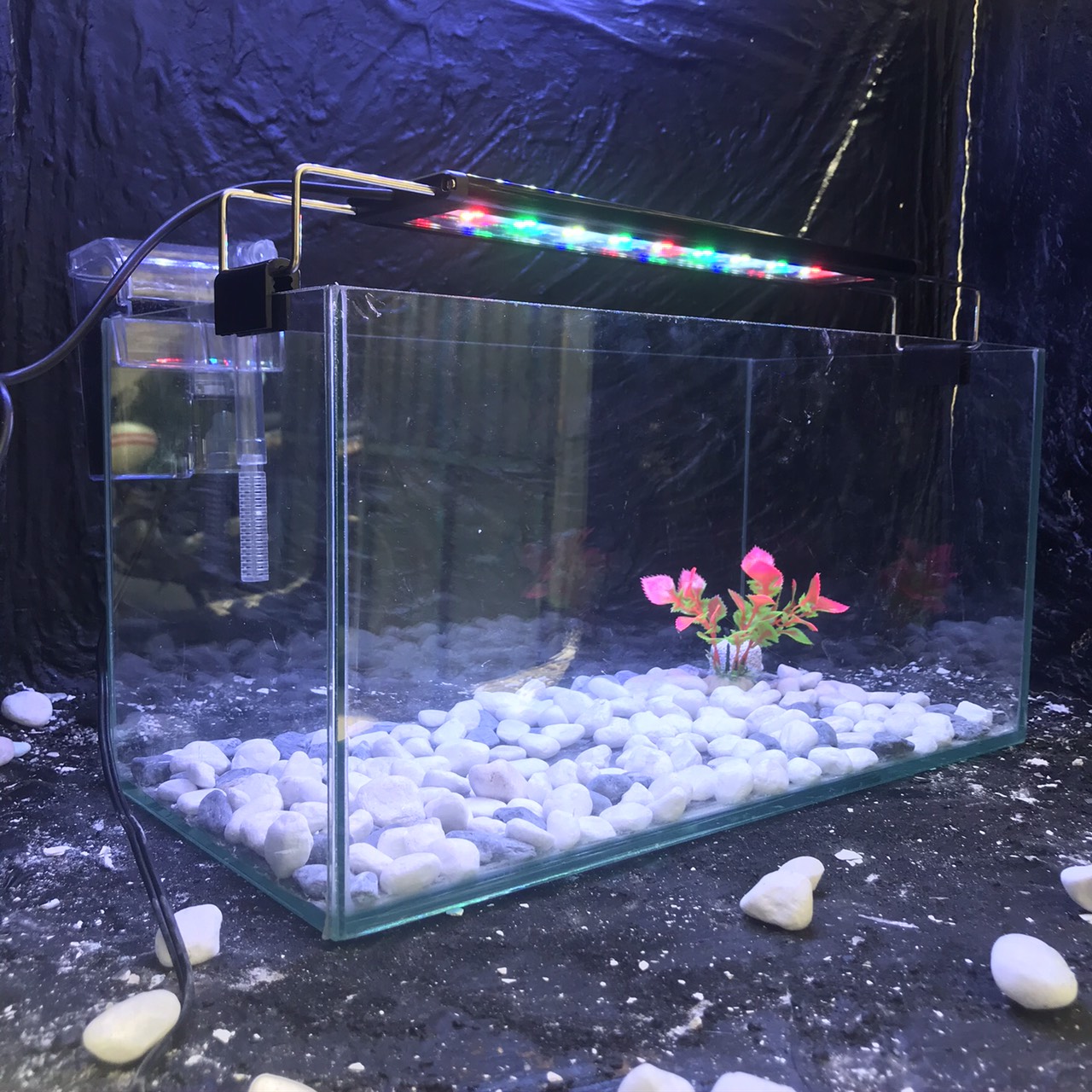 Bể cá mini 40cm COMBO đầy đủ dành cho nuôi cá cảnh để bàn