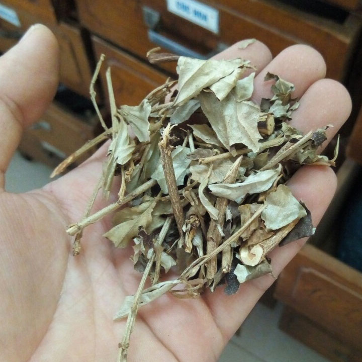 Khổ sâm 1kg