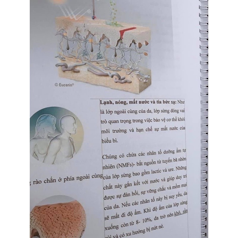 Hướng dẫn phun xăm mày môi mí đầy đủ chi tiết