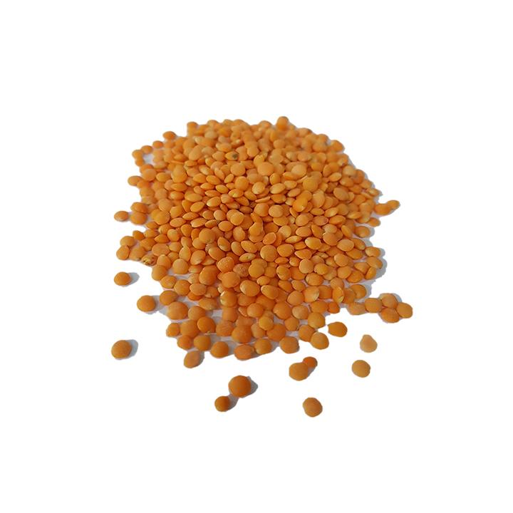 Đậu lăng đỏ Canada (500gr)  Premium red lentil - Organic Non-GMO