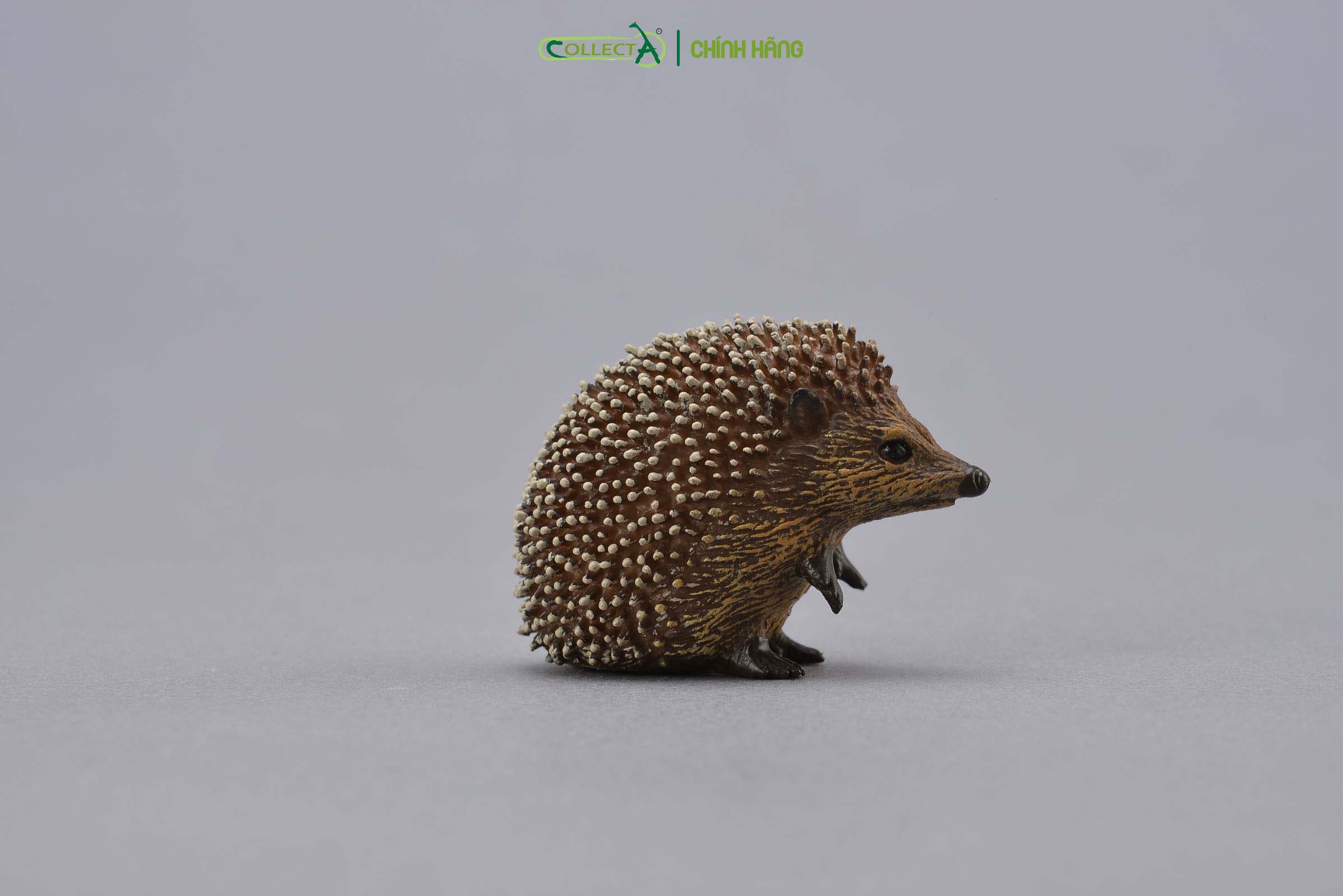 Đồ chơi mô hình động vật CollectA Nhím