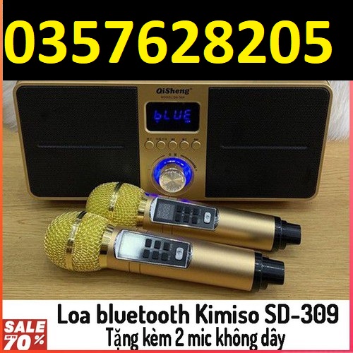 [HCM]Loa Sd309 Loa Bluetooth SD 309 Kèm 2 Micro Không Dây Mẫu Mới