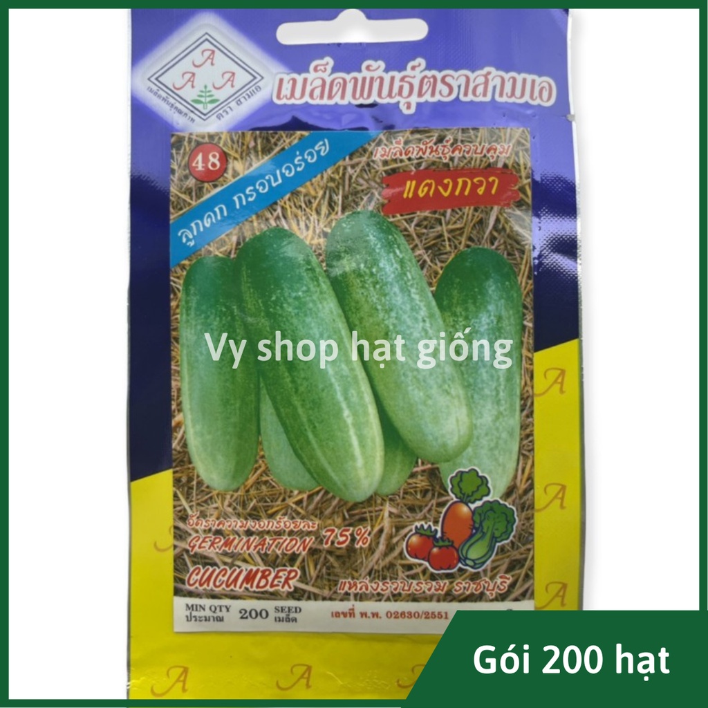 Hạt giống dưa chuột mèo (dưa leo) Thái Lan gói 200 hạt