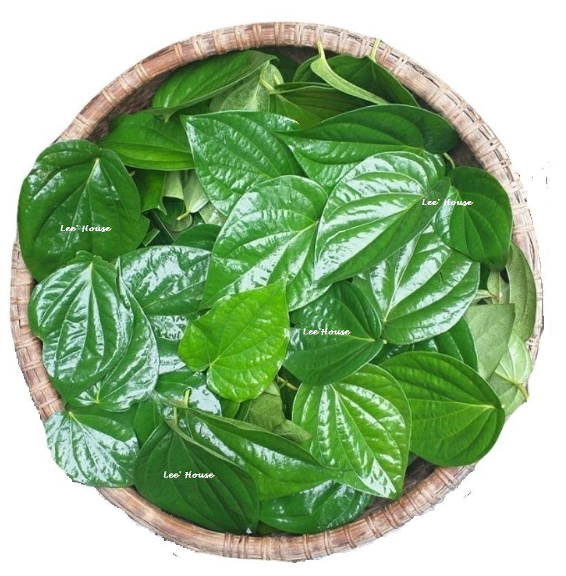 Nước cất trầu không (chai xịt 100ml)