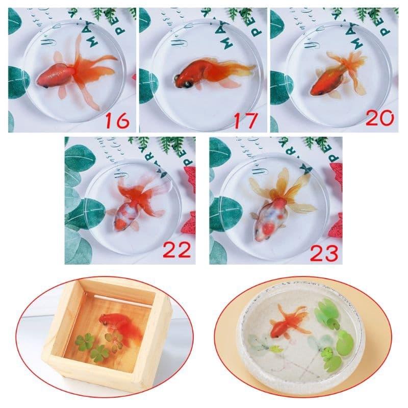 [HCM]Bộ 5 miếng Decal dán cá vàng 3D.
