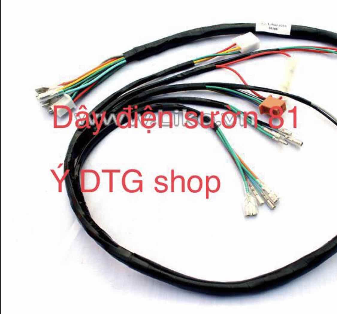 Dây Điện Sườn Xe Cub 81 - 1661