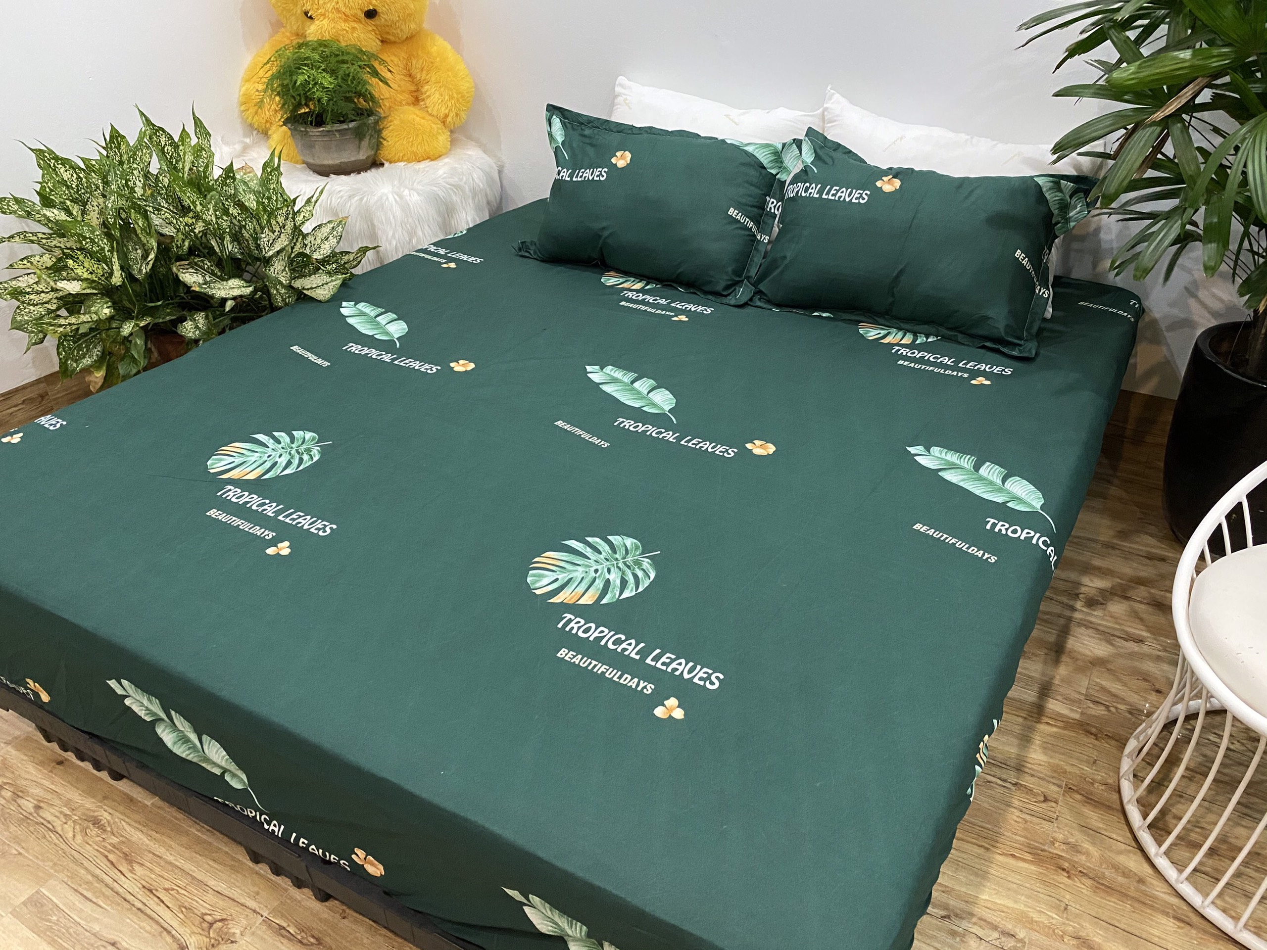 Bộ Ga Gối 3 Món ( Gồm 1 Ga Bo Chun + 2 Vỏ Gối) Mã CH219