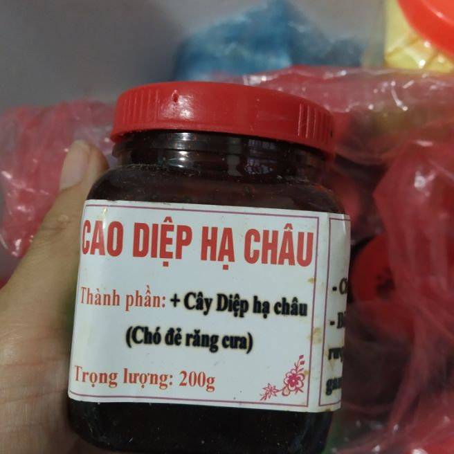 Sỉ toàn quốc 200g cao diệp hạ châu