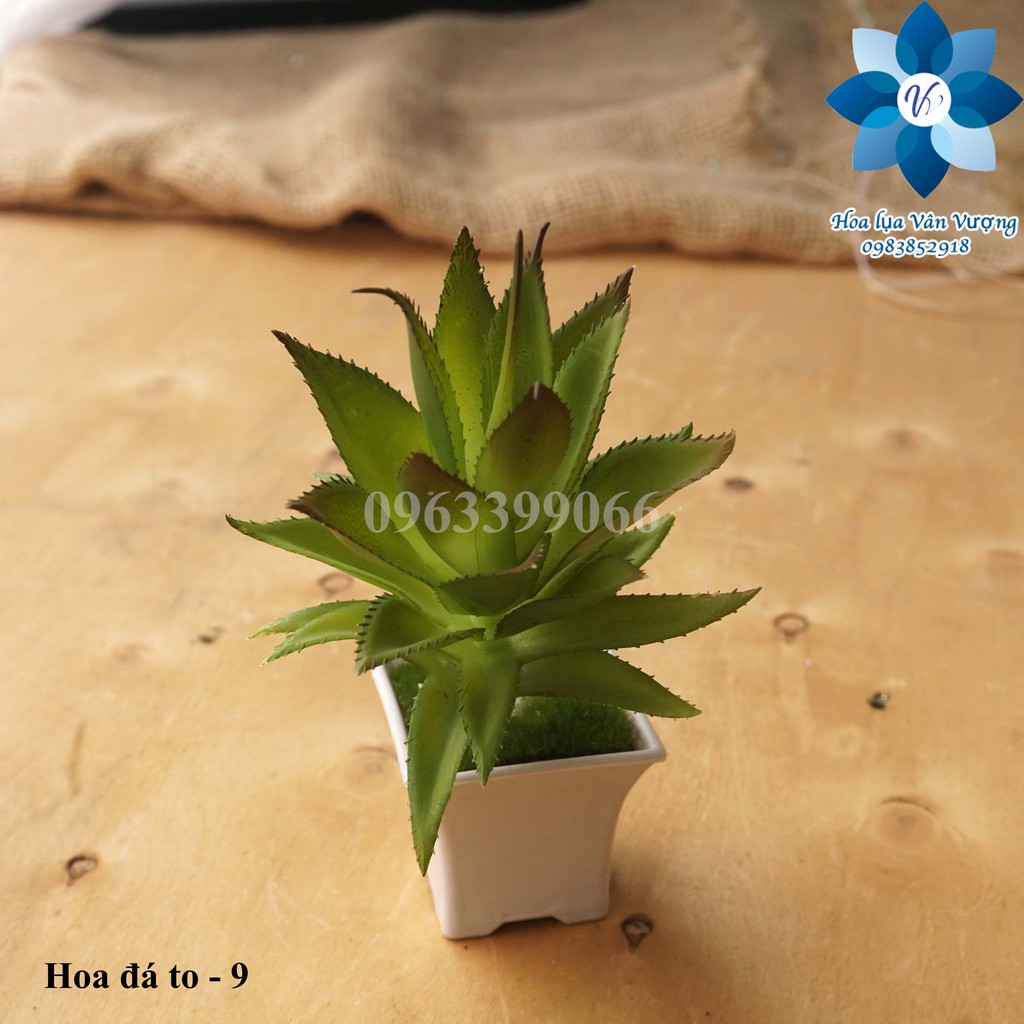Hoa Đá Giả Hoa Sen Đá Cao Su, Nhựa