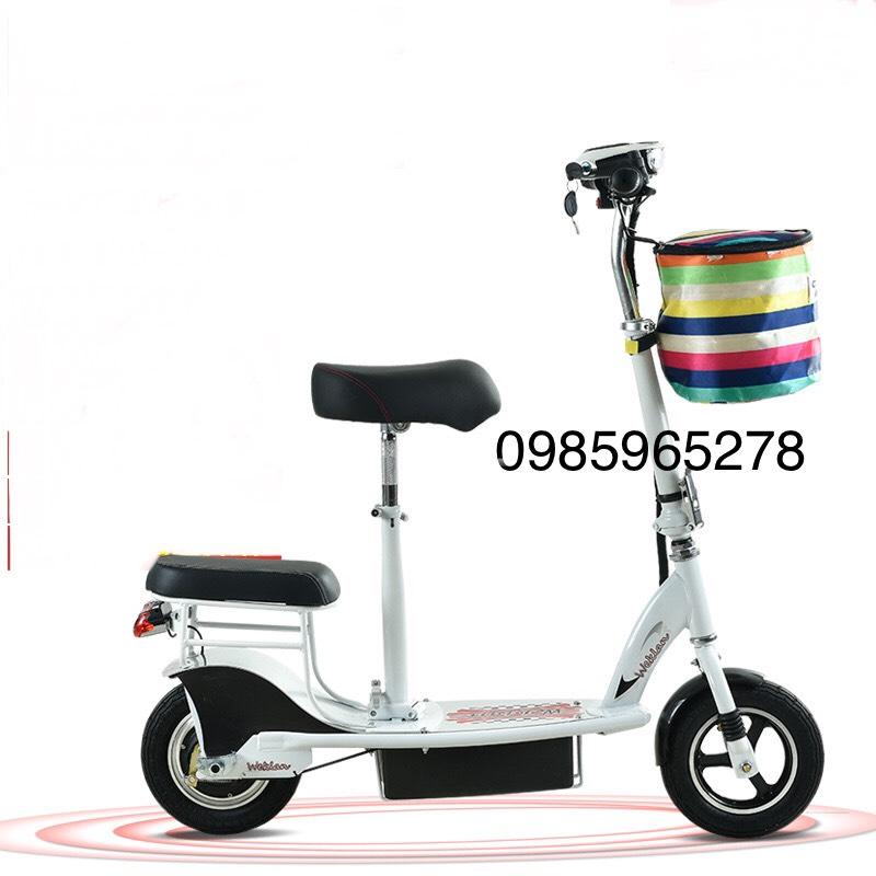 Xe đạp điện escooter hai chỗ ngồi
