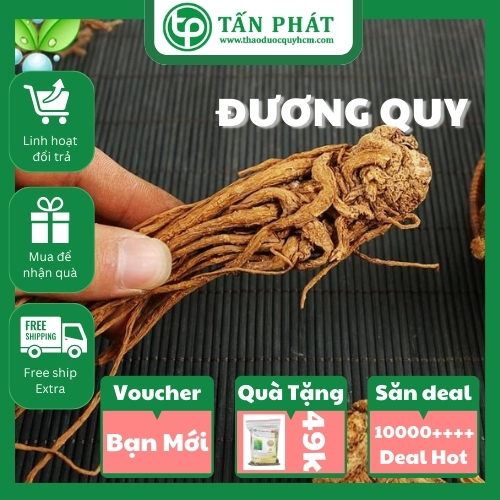 Đương quy khô 1kg - Hàng sạch chất lượng cao - hỗ trợ cải thiện sức khỏe người sử dụng - Thảo Dược Tấn Phát