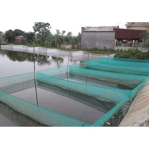 Tráng (vèo) nuôi cá lưới cào xanh lỗ lưới 5ly