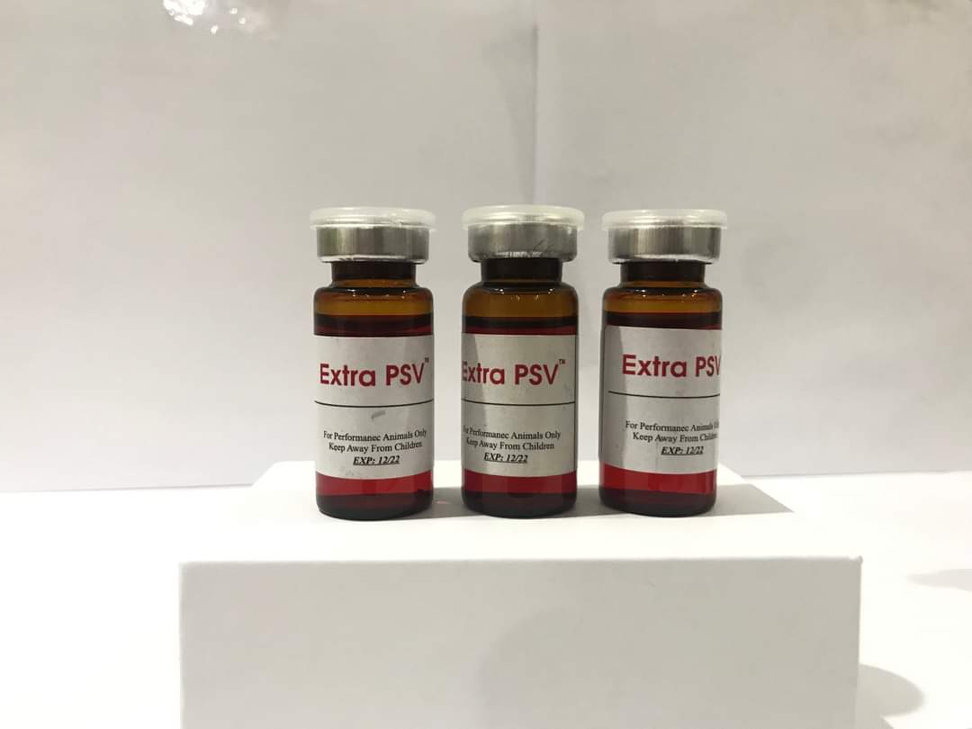 EXTRA PSV lọ 1ml - gà đá liền sau 30 phút
