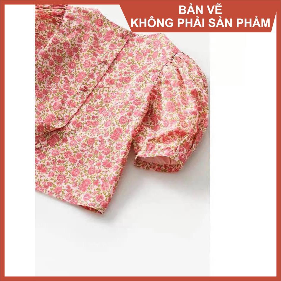 Rập giấy A0 mã 957 (Bản vẽ) (BẢN VẼ)