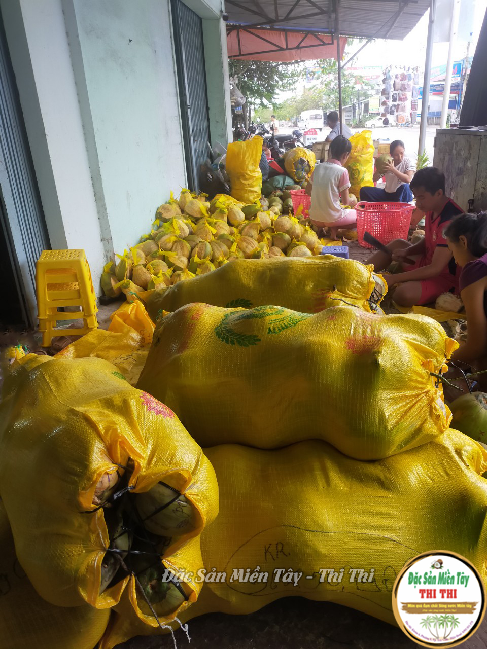 Dừa Sáp Thượng Hạng Loại 2 Size Đặc Biệt (Trái Trên 1.3Kg)
