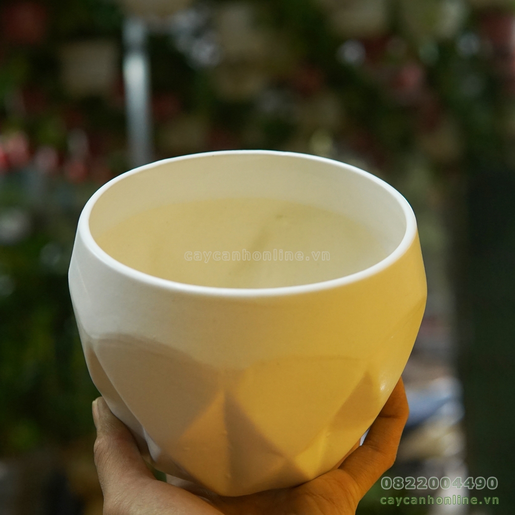 Chậu gốm sứ trồng cây đáy xoắn