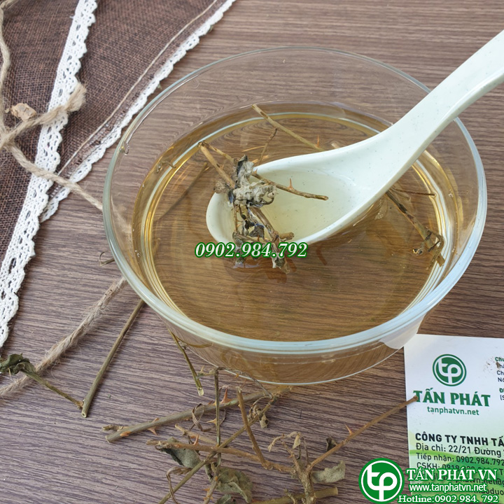 [Hàng mới về] Cây cà gai leo khô túi 500g - Thảo Dược Tấn Phát - Chuyên dùng để pha trà - Hỗ trợ thanh nhiệt và giải độc cực kỳ hiệu quả
