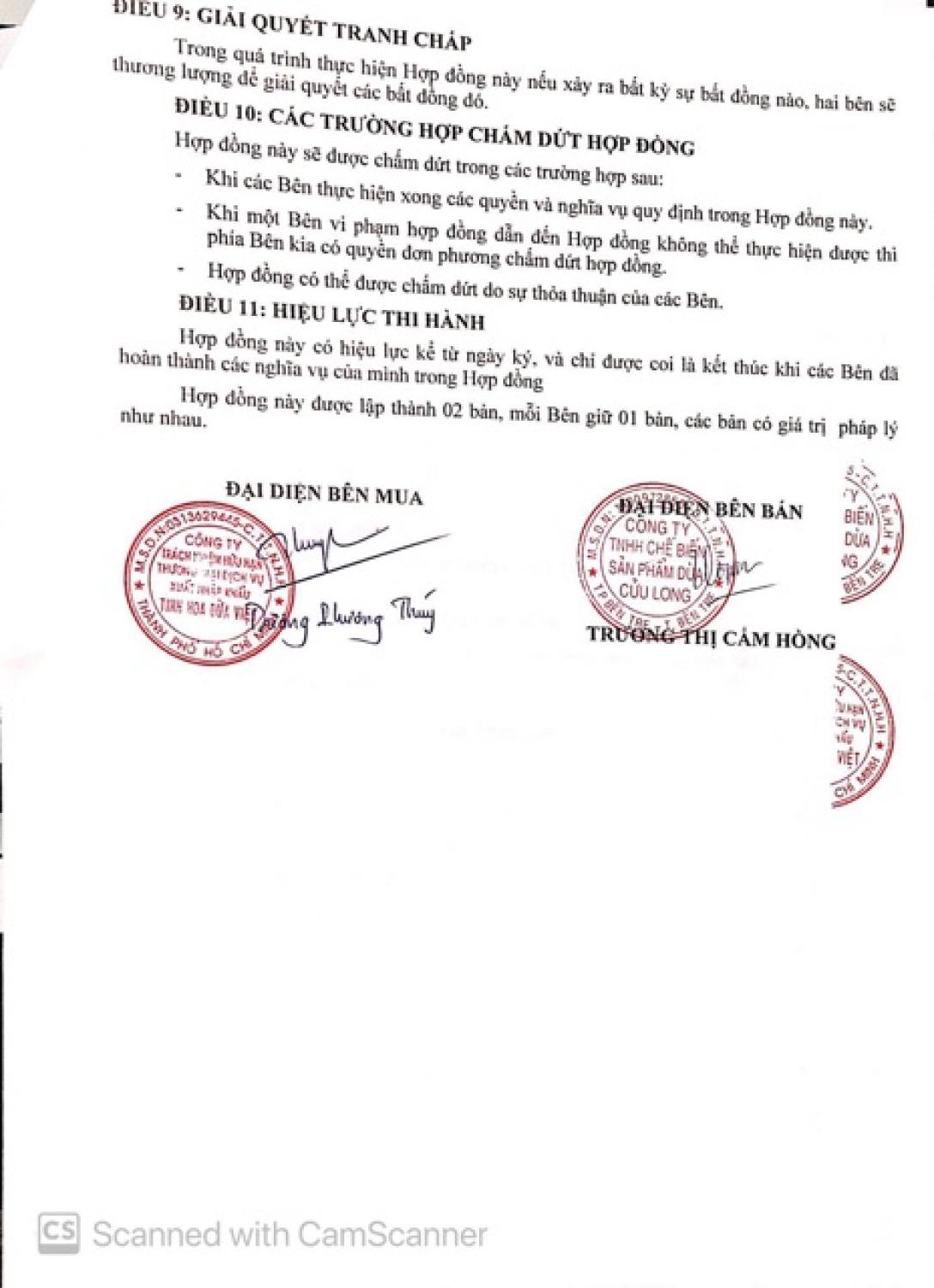 (2026)( 40 Miếng đắp mắt dừa mặt nạ dừa Cửu Long