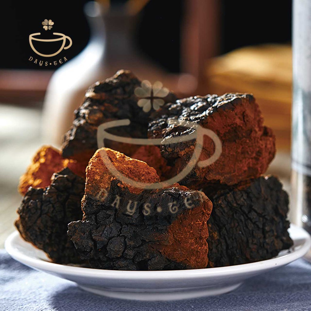 NẤM CHAGA 100G