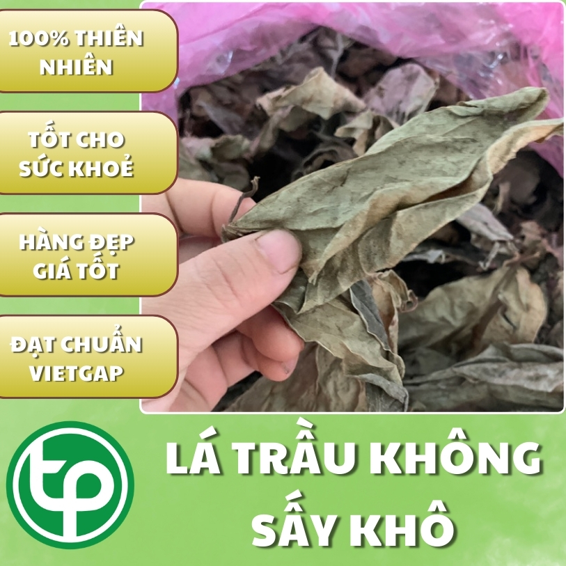 Lá trầu không sấy khô 1kg - Thảo Dược Tấn Phát - Hàng công ty chất lượng cao