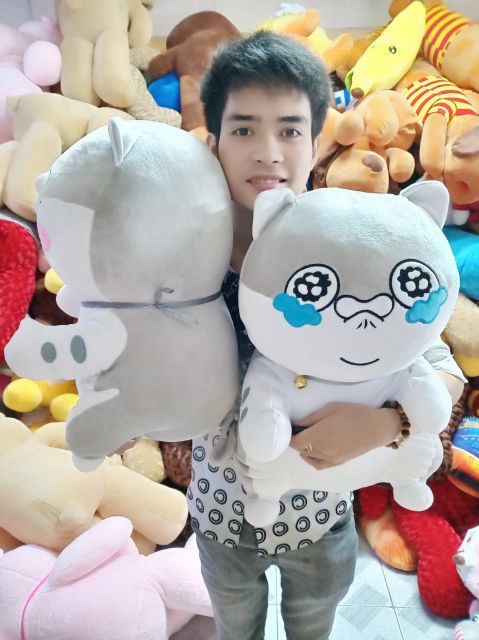 GẤU BÔNG MÈO AMY