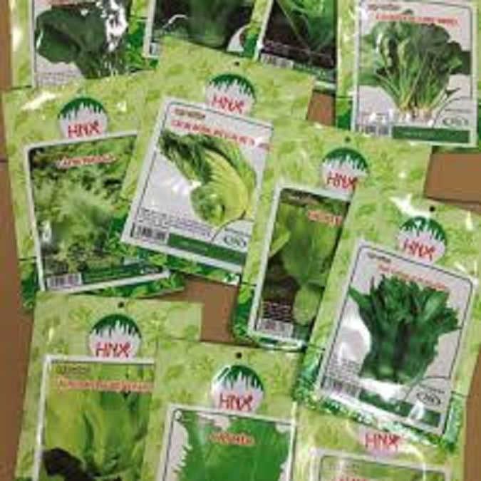 Hạt giống rau rền đỏ, 1 túi ăn cả năm