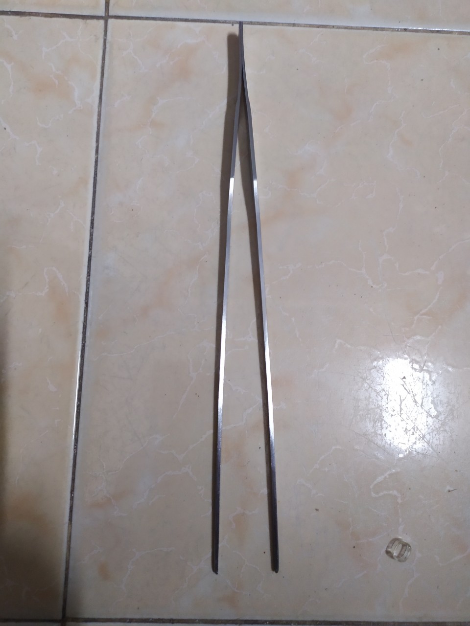[HCM]Nhíp inox dùng cho bể thủy sinh dài 27 cm.