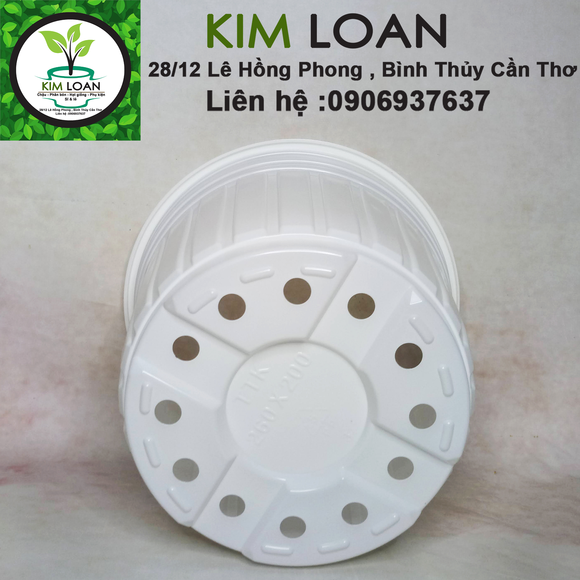 Combo 20 chậu nhựa vành cứng TTK C8 28x21cm