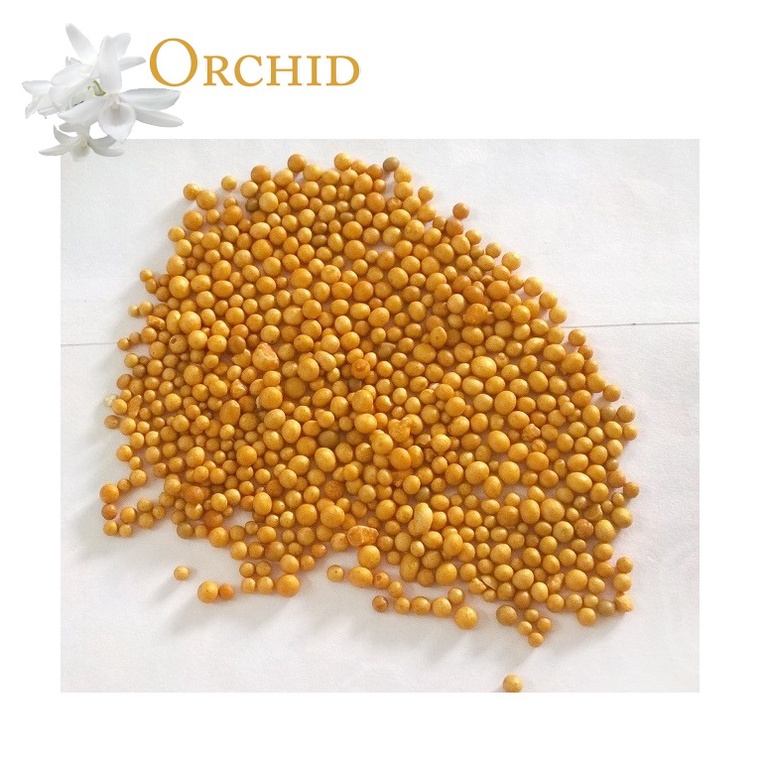 Phân tan chậm nhập khẩu thái lan 14-14-14 200gram