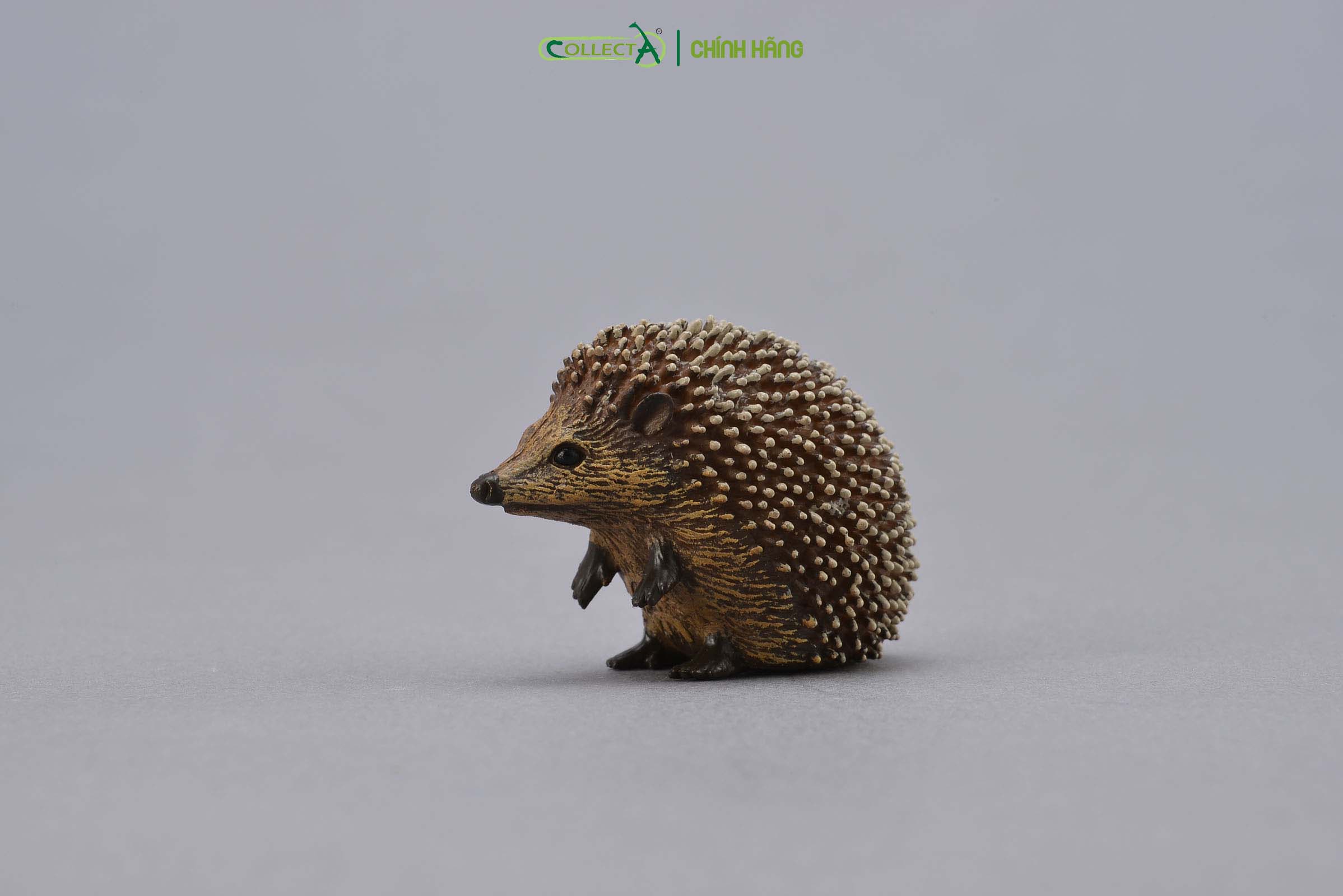 Đồ chơi mô hình động vật CollectA Nhím